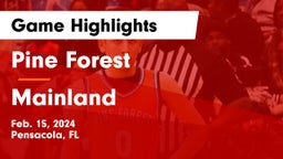Pine Forest  vs Mainland  Game Highlights - Feb. 15, 2024