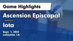 Ascension Episcopal  vs Iota Game Highlights - Sept. 1, 2022