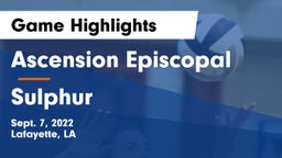 Ascension Episcopal  vs Sulphur  Game Highlights - Sept. 7, 2022