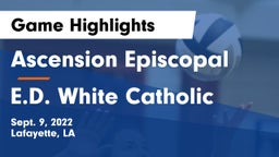 Ascension Episcopal  vs E.D. White Catholic  Game Highlights - Sept. 9, 2022