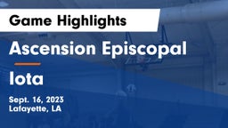 Ascension Episcopal  vs Iota  Game Highlights - Sept. 16, 2023
