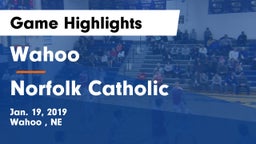 Wahoo  vs Norfolk Catholic  Game Highlights - Jan. 19, 2019