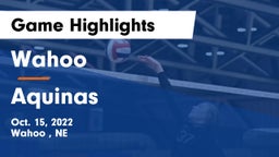 Wahoo  vs Aquinas  Game Highlights - Oct. 15, 2022