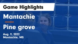 Mantachie  vs Pine grove Game Highlights - Aug. 9, 2022