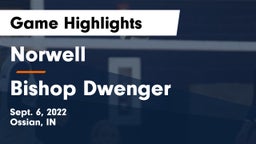 Norwell  vs Bishop Dwenger  Game Highlights - Sept. 6, 2022
