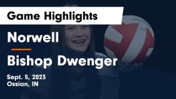 Norwell  vs Bishop Dwenger  Game Highlights - Sept. 5, 2023