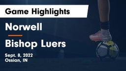 Norwell  vs Bishop Luers  Game Highlights - Sept. 8, 2022