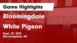 Bloomingdale  vs White Pigeon  Game Highlights - Sept. 29, 2022