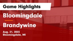 Bloomingdale  vs Brandywine  Game Highlights - Aug. 21, 2023