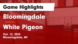 Bloomingdale  vs White Pigeon  Game Highlights - Oct. 12, 2023