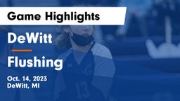 DeWitt  vs Flushing Game Highlights - Oct. 14, 2023