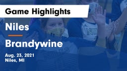 Niles  vs Brandywine  Game Highlights - Aug. 23, 2021