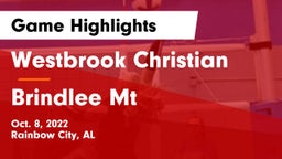 Westbrook Christian  vs Brindlee Mt Game Highlights - Oct. 8, 2022