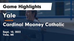 Yale  vs Cardinal Mooney Catholic  Game Highlights - Sept. 10, 2022