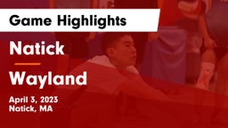 Natick  vs Wayland  Game Highlights - April 3, 2023