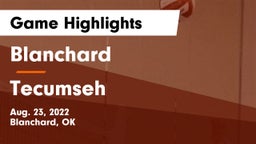 Blanchard   vs Tecumseh  Game Highlights - Aug. 23, 2022
