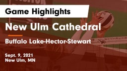New Ulm Cathedral  vs Buffalo Lake-Hector-Stewart  Game Highlights - Sept. 9, 2021