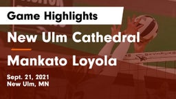 New Ulm Cathedral  vs Mankato Loyola Game Highlights - Sept. 21, 2021