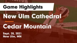 New Ulm Cathedral  vs Cedar Mountain Game Highlights - Sept. 28, 2021