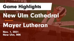 New Ulm Cathedral  vs Mayer Lutheran  Game Highlights - Nov. 1, 2021