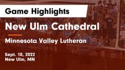 New Ulm Cathedral  vs Minnesota Valley Lutheran  Game Highlights - Sept. 10, 2022