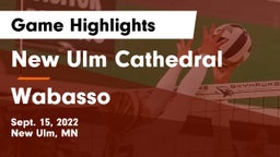New Ulm Cathedral  vs Wabasso  Game Highlights - Sept. 15, 2022