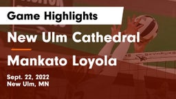 New Ulm Cathedral  vs Mankato Loyola  Game Highlights - Sept. 22, 2022