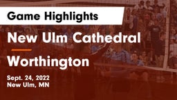 New Ulm Cathedral  vs Worthington  Game Highlights - Sept. 24, 2022