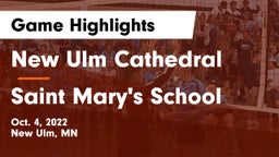 New Ulm Cathedral  vs Saint Mary's School Game Highlights - Oct. 4, 2022