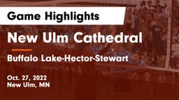 New Ulm Cathedral  vs Buffalo Lake-Hector-Stewart  Game Highlights - Oct. 27, 2022