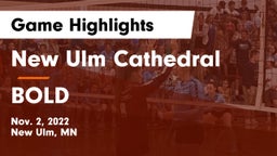 New Ulm Cathedral  vs BOLD  Game Highlights - Nov. 2, 2022