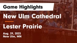 New Ulm Cathedral  vs Lester Prairie  Game Highlights - Aug. 29, 2023