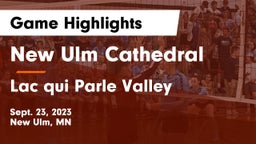 New Ulm Cathedral  vs Lac qui Parle Valley  Game Highlights - Sept. 23, 2023