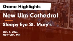 New Ulm Cathedral  vs Sleepy Eye St. Mary's Game Highlights - Oct. 3, 2023