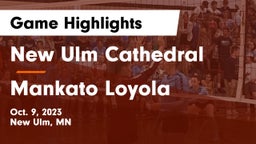 New Ulm Cathedral  vs Mankato Loyola  Game Highlights - Oct. 9, 2023