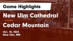 New Ulm Cathedral  vs Cedar Mountain Game Highlights - Oct. 10, 2023
