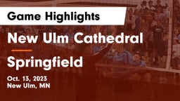 New Ulm Cathedral  vs Springfield  Game Highlights - Oct. 13, 2023