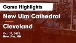 New Ulm Cathedral  vs Cleveland  Game Highlights - Oct. 23, 2023