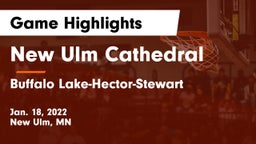 New Ulm Cathedral  vs Buffalo Lake-Hector-Stewart  Game Highlights - Jan. 18, 2022