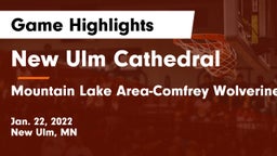 New Ulm Cathedral  vs Mountain Lake Area-Comfrey Wolverines Game Highlights - Jan. 22, 2022