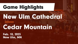 New Ulm Cathedral  vs Cedar Mountain Game Highlights - Feb. 10, 2023
