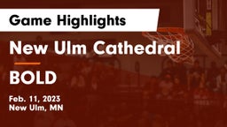 New Ulm Cathedral  vs BOLD  Game Highlights - Feb. 11, 2023
