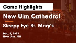New Ulm Cathedral  vs Sleepy Eye St. Mary's  Game Highlights - Dec. 4, 2023