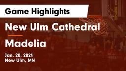 New Ulm Cathedral  vs Madelia  Game Highlights - Jan. 20, 2024
