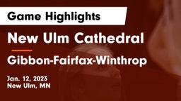 New Ulm Cathedral  vs Gibbon-Fairfax-Winthrop  Game Highlights - Jan. 12, 2023