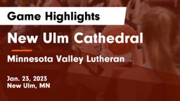 New Ulm Cathedral  vs Minnesota Valley Lutheran  Game Highlights - Jan. 23, 2023