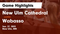 New Ulm Cathedral  vs Wabasso  Game Highlights - Jan. 27, 2023