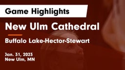 New Ulm Cathedral  vs Buffalo Lake-Hector-Stewart  Game Highlights - Jan. 31, 2023