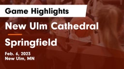 New Ulm Cathedral  vs Springfield  Game Highlights - Feb. 6, 2023