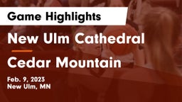 New Ulm Cathedral  vs Cedar Mountain Game Highlights - Feb. 9, 2023